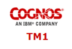 Devis licences IBM Cognos et TM1